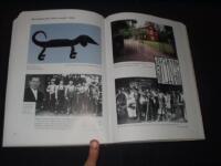 Manne &Ouml;stlund 1904 - 1957, konstn&auml;r och hembygdsv&aring;rdare