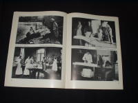 Dalarna i kvinnominne : kvinnoyrken i bilder kring sekelskiftet