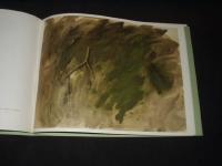 Aschenbrenner, Stockholm Art Fair, ARCO '88