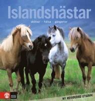 Islandsh&auml;star - sk&ouml;tsel, h&auml;lsa, g&aring;ngarter
