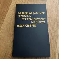 D&auml;rf&ouml;r &auml;r jag inte feminist : ett feministiskt manifest