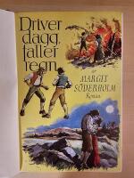 Driver dagg faller regn