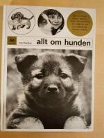 Allt om hunden