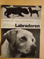 Labradoren