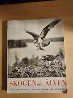 Skogen och &auml;lven