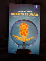 Energitjuvar : i familjen, i relationen och p&aring; jobbet