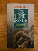 Den tionde insikten : h&aring;ll visionen levande