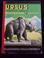 Ursus - ber&auml;ttelse f&ouml;r ungdom om Grottbj&ouml;rnen