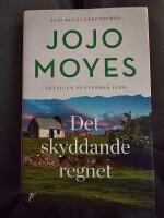 Det skyddande regnet
