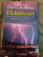 Elektricitet : Historien om universums m&auml;ktigaste kraft
