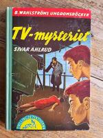 Tvillingdetektiverna - Tv-mysteriet