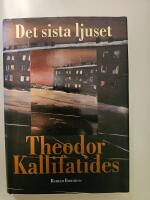 Det sista ljuset : [roman]