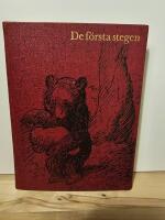 Barndomslandet - De f&ouml;rsta stegen