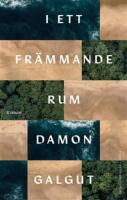 I ett fr&auml;mmande rum