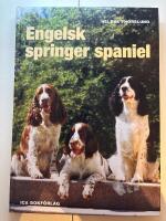 Engelsk springer spaniel