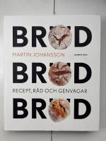 Br&ouml;d, br&ouml;d, br&ouml;d : recept, r&aring;d och genv&auml;gar