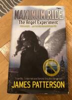 Maximum Rise - The angel experience