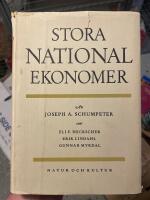 Stora nationalekonomer