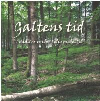 Galten : "Tv&aring;&aring;ker under tidig medeltid"