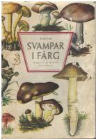 Svampar i f&auml;rg