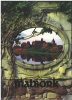 Malbork : The Castle of the Teutonic knights