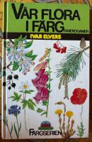V&aring;r flora i f&auml;rg. Fanerogamer