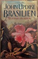Brasilien-En roman om