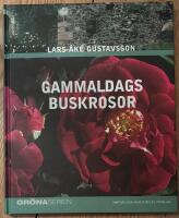 Gammaldags buskrosor