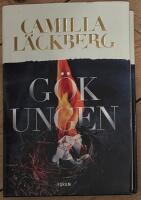 G&ouml;kungen