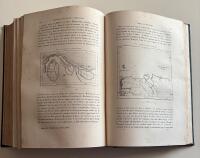 Nouvelle G&eacute;ographie Universelle. La Terre et les Hommes. VI: L'Asie Russe