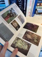 Bonniers lilla fotohandbok : sm&aring;bild