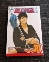 Bleach volume 30