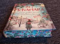 Sn&ouml;n faller t&auml;t p&aring; Mistletoe Square