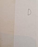 Skogen d&auml;r stj&auml;rnorna slocknar