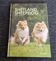 Shetland sheepdog
