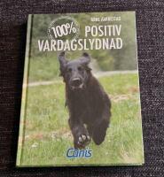 100% Positiv vardagslydnad