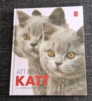 Att bli med katt