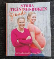 Stora tr&auml;ningsboken f&ouml;r gravida