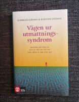 V&auml;gen ur utmattningssyndrom : hantera det som &auml;r och ta dig dit du vill med