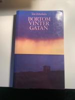 Bortom Vintergatan 