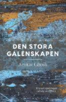 Den stora galenskapen : klimatf&ouml;r&auml;ndringen  och det ot&auml;nkbara