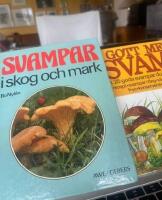 Svampar i skog och mark : 404 svampar i f&auml;rg