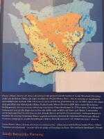 Floran i Sk&aring;ne : arterna och deras utbredning