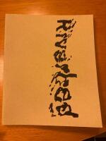 Olafur Eliasson Riverbef Louisiana 