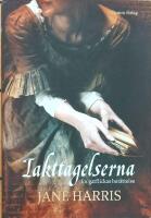 Iakttagelserna : en gatflickas ber&auml;ttelse