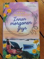 Innan morgonen gryr