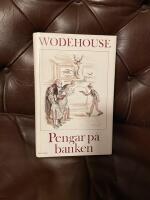 Pengar p&aring; banken