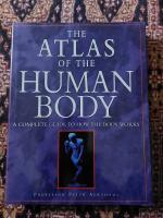 The Atlas of the Human Body