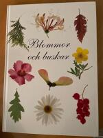 Blommor och buskar