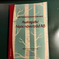 Externredovisning : praktikfallet Noas n&auml;vertr&aring;d AB